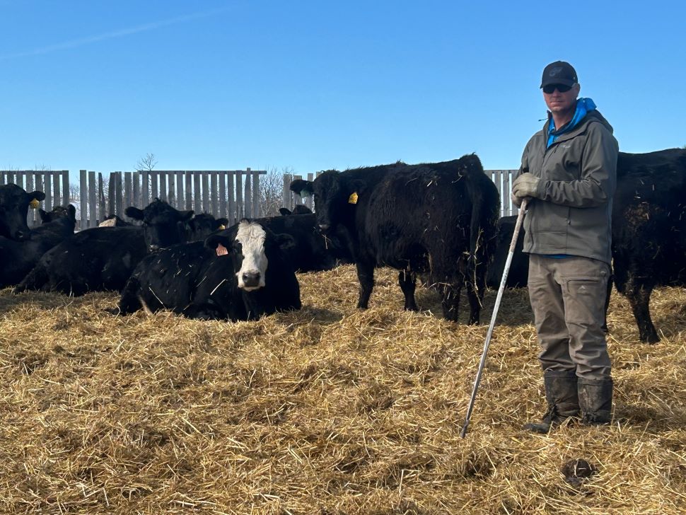 Rodney Reid with cow that are standing and sitting 