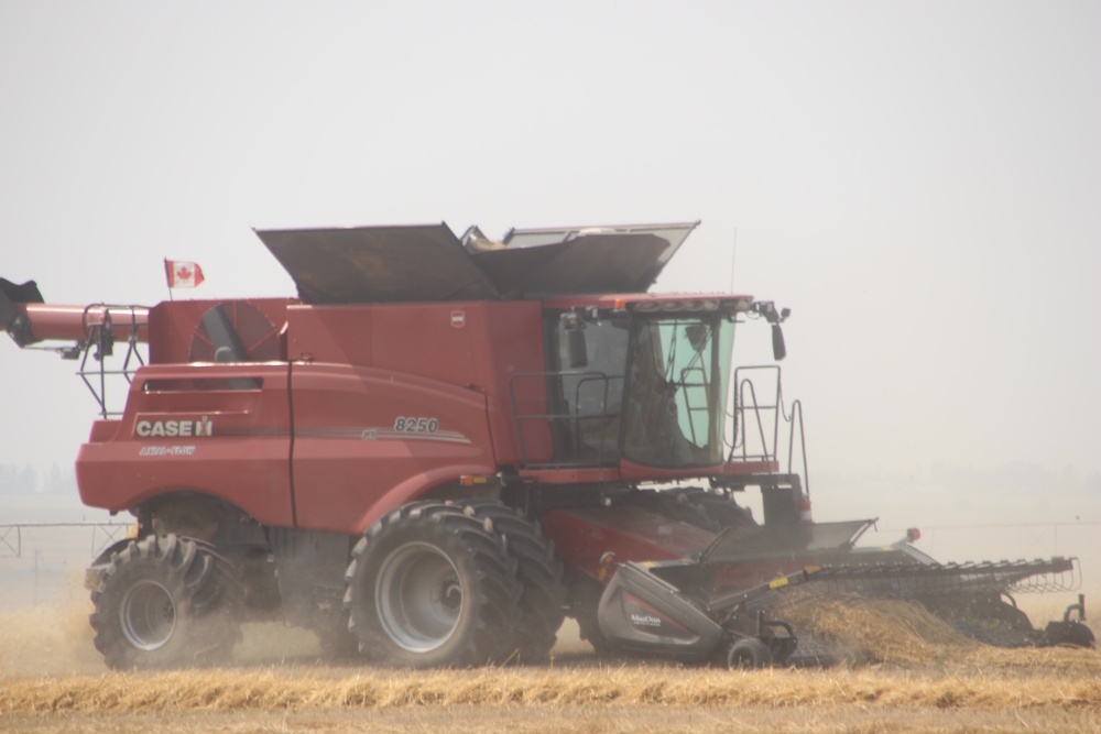 Local residents reacted to tariffs on Canadian goods imposed by the United States.
