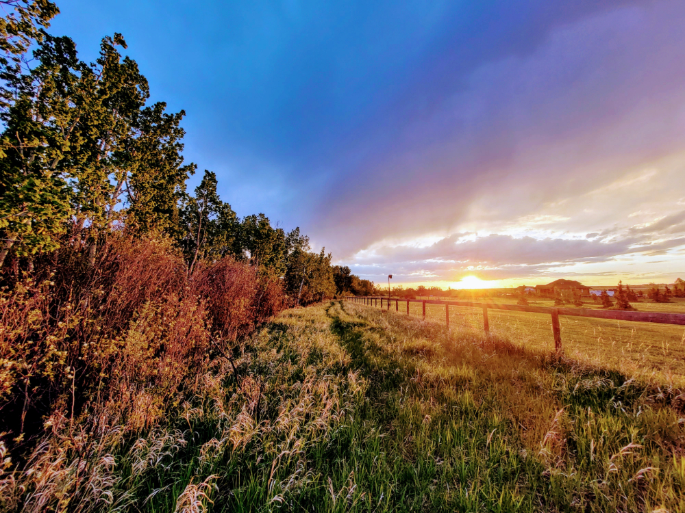 A sunset in Foothills County.