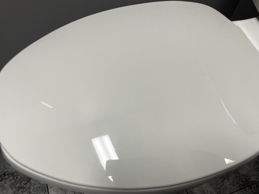 toilet lid