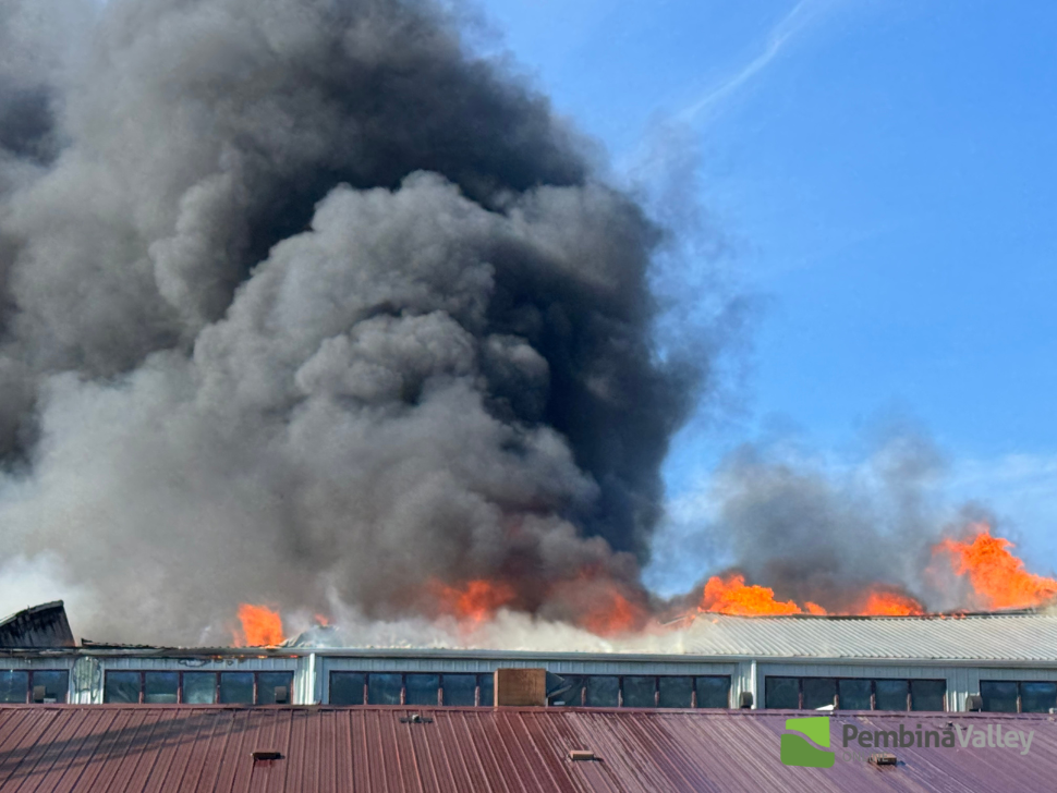 SMITTYS FIRE - SUBMITTED BY MARIA MARTSCH