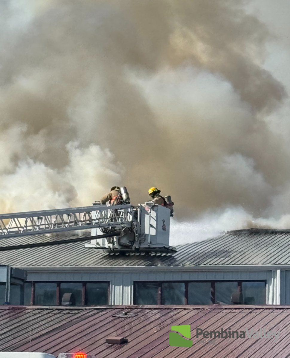 SMITTYS FIRE - SUBMITTED BY MARIA MARTSCH