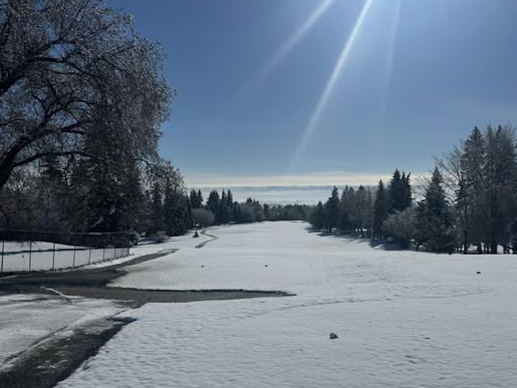 lacombe golf course snow
