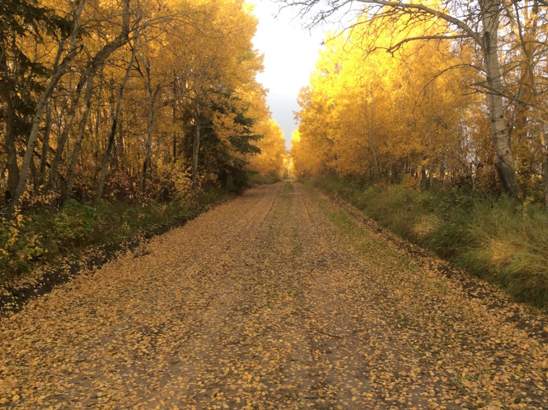 Nature Conservancy of Canada - Nebo site in SK