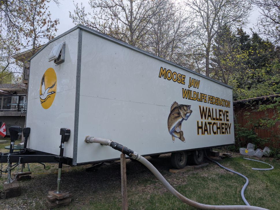 Visit to Moose Jaw Wildlife Federation's Walleye Hatchery, spring 2025