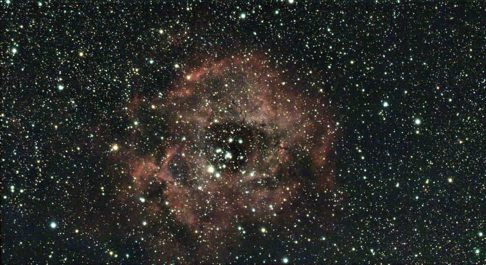 NGC 2174, the Monkey Head Nebula with surrounding stars