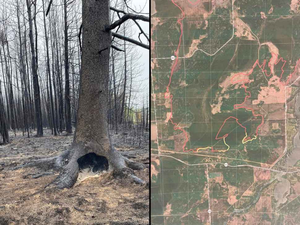 a burnt tree and a map
