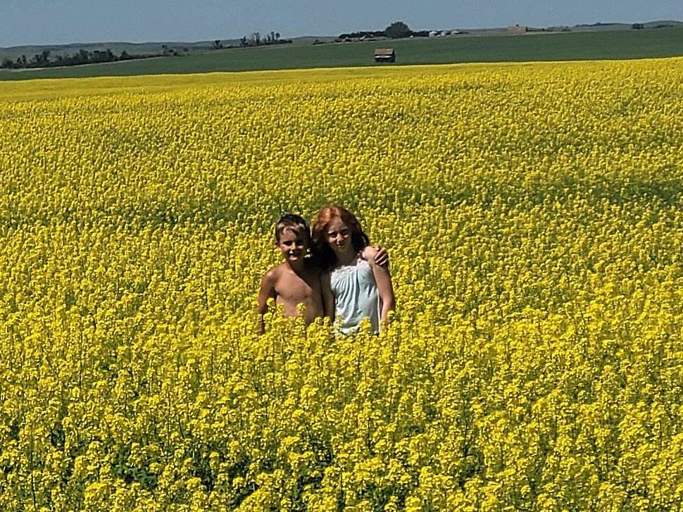 kids in a field.
