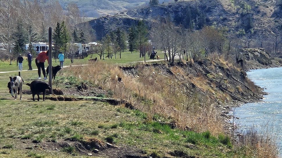 Bow River erosion