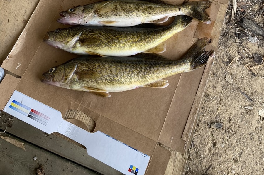 Fish limits.jpg