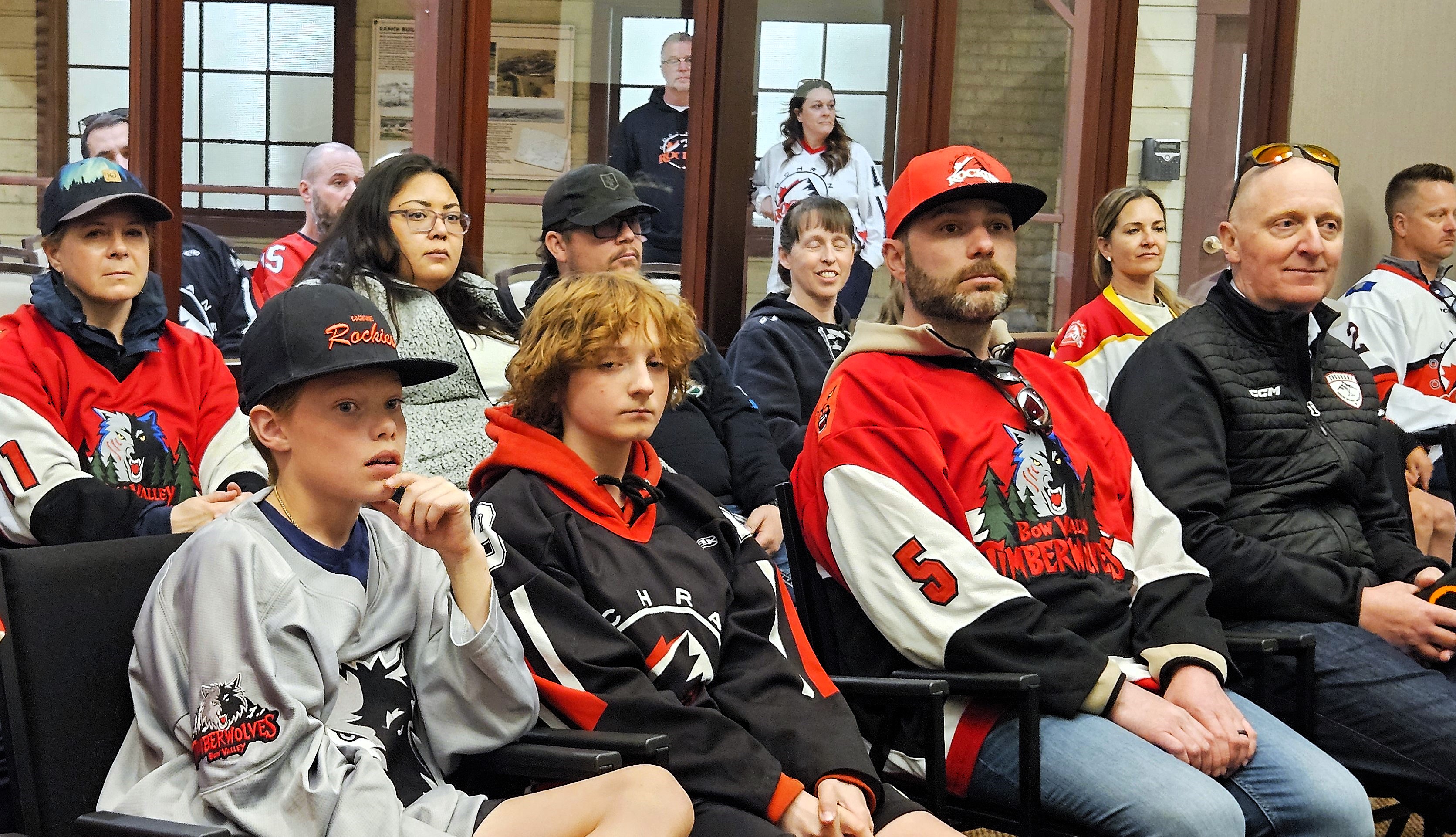 Town council hockey crowd