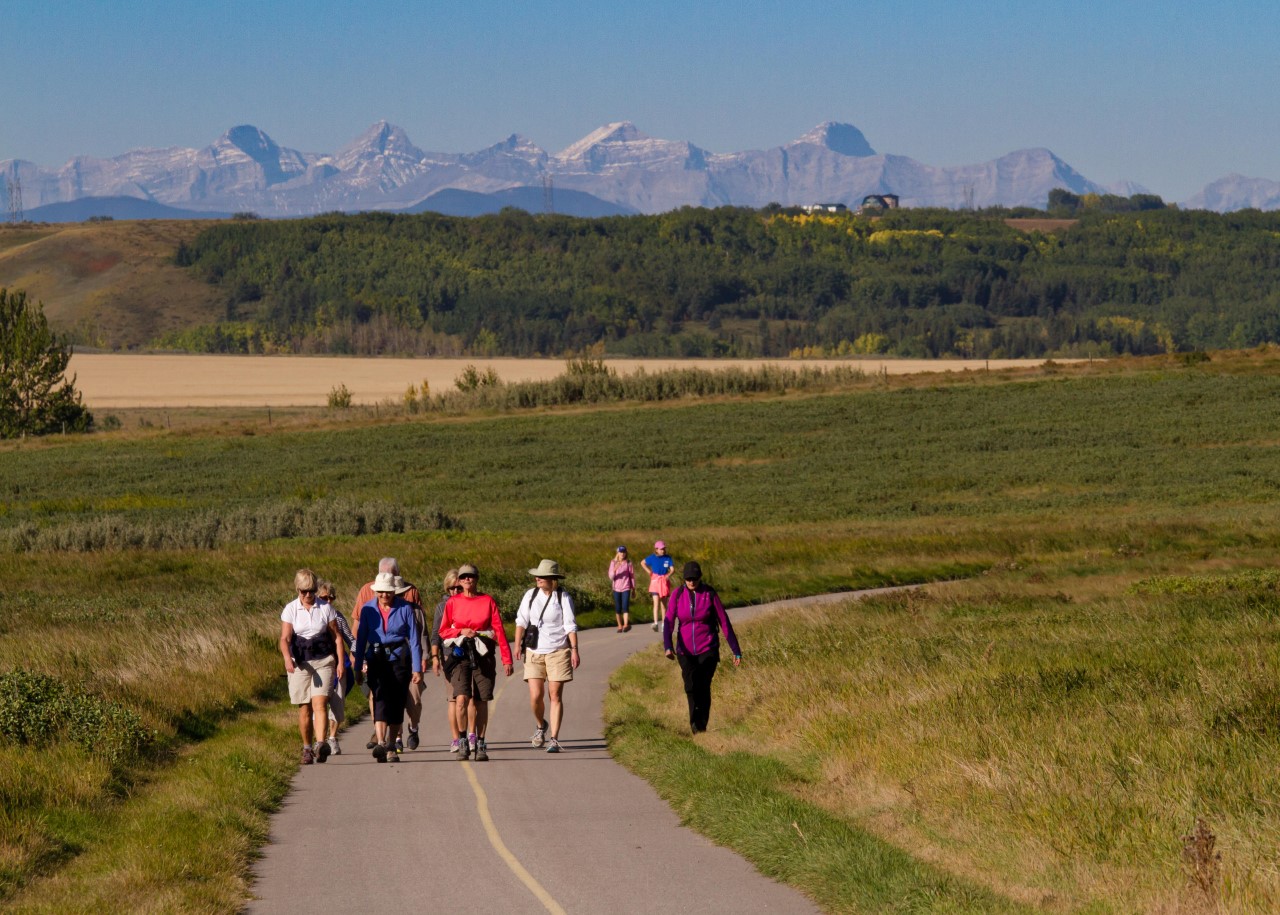 glenbow walk