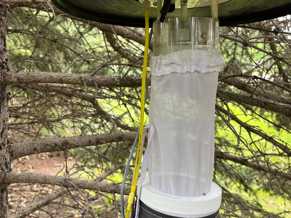 Mosquito trap in Steinbach