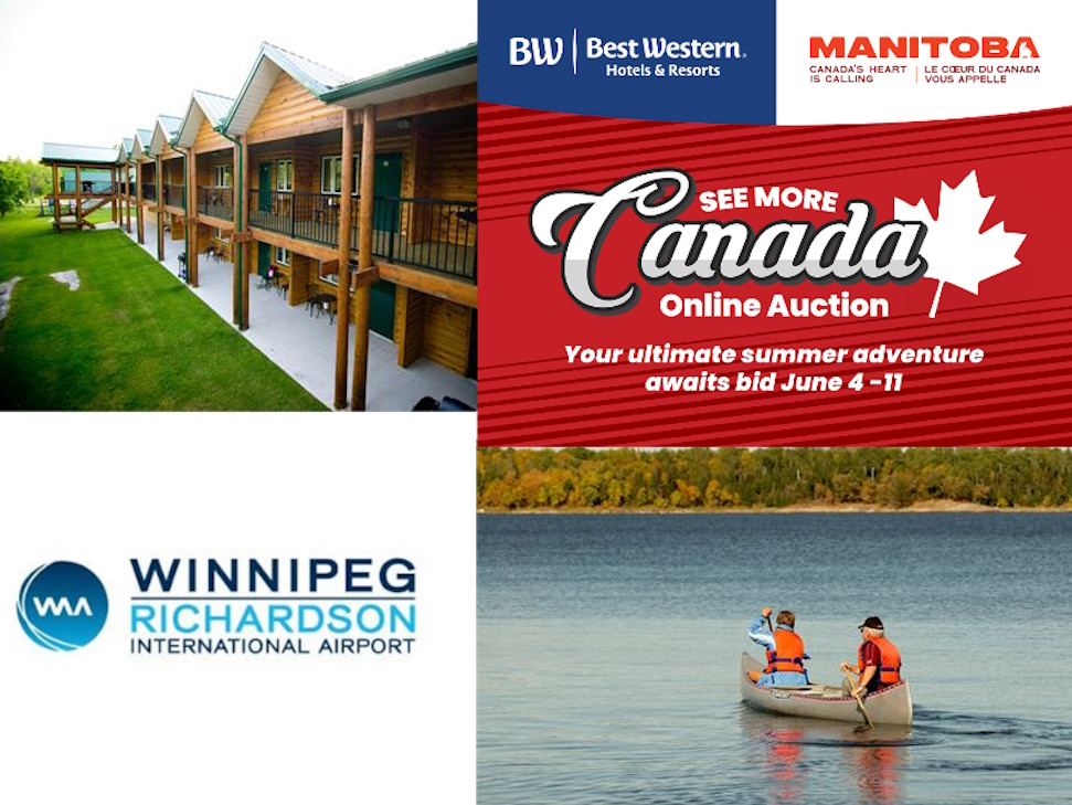 SeeMORE Canada Auction