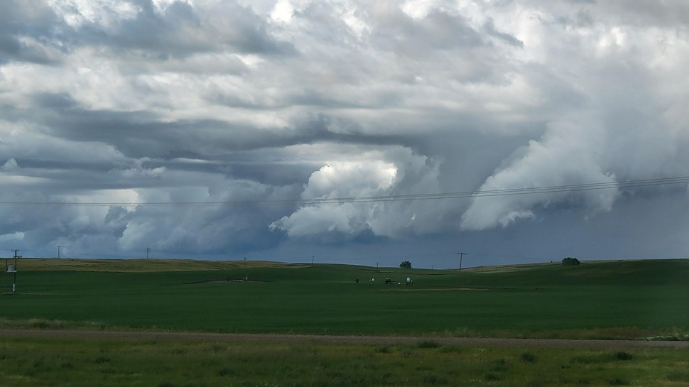 Storm clouds roll over lush green crops. (photo by Hayden Michaels)