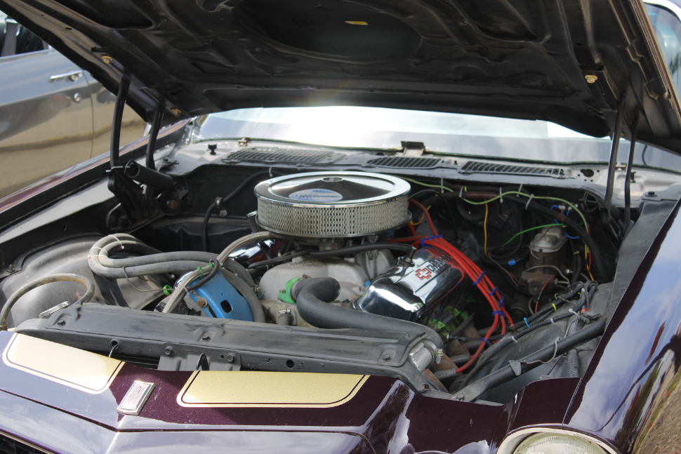 Car show