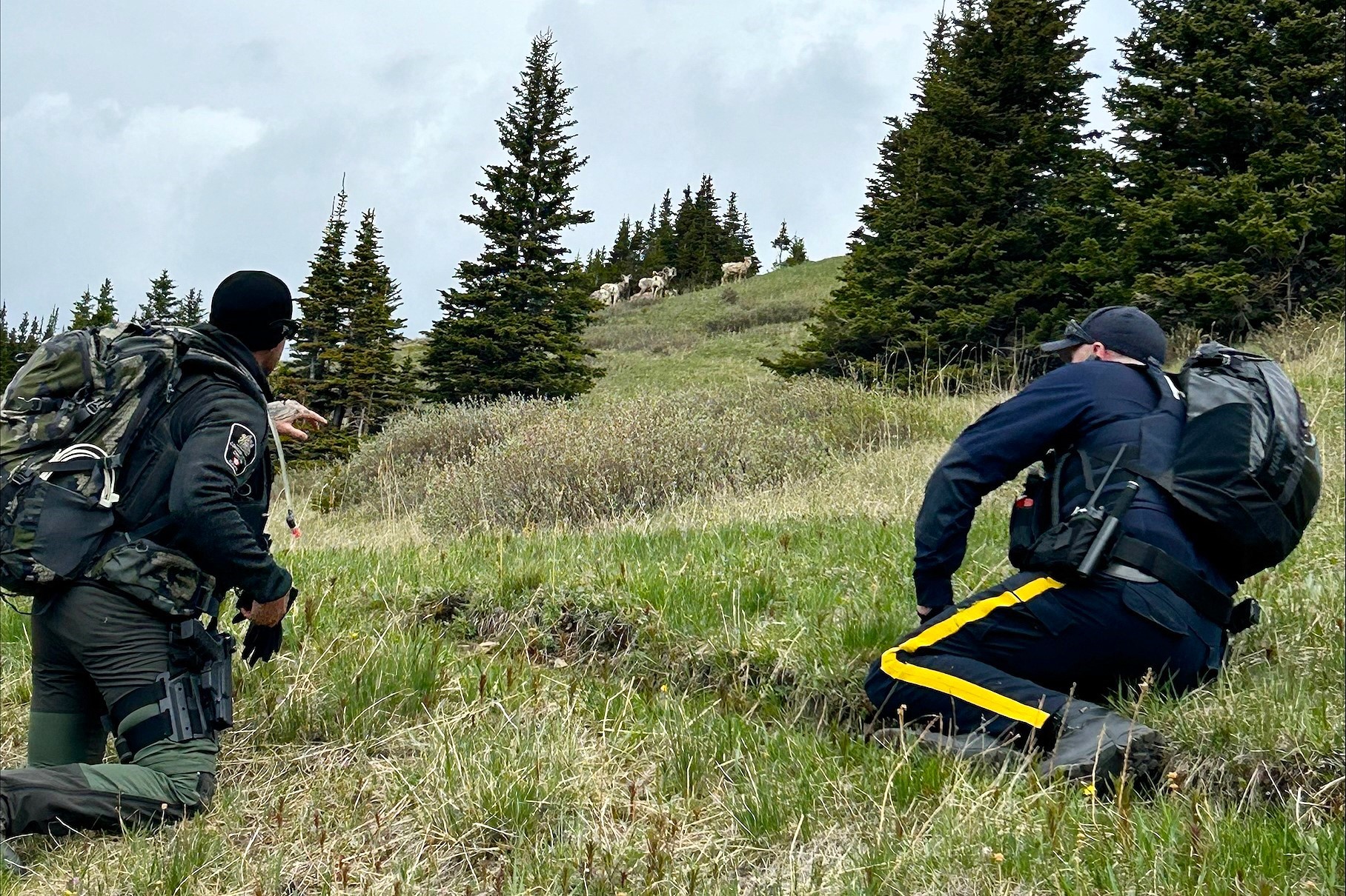 G7 wildlife patrol Photo credit RCMP
