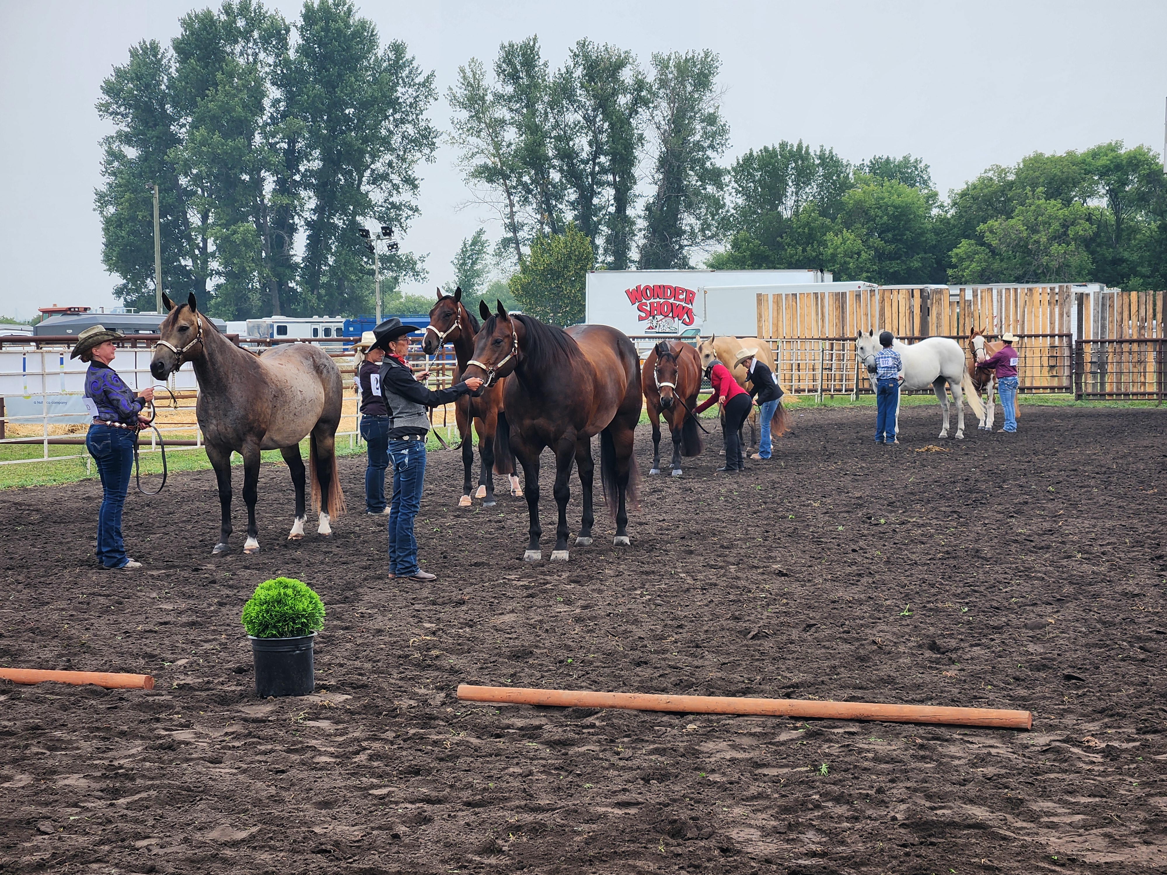 Western Show event, at 9:30 A.M. Friday. PortageOnline/ Tristen Sokolosky