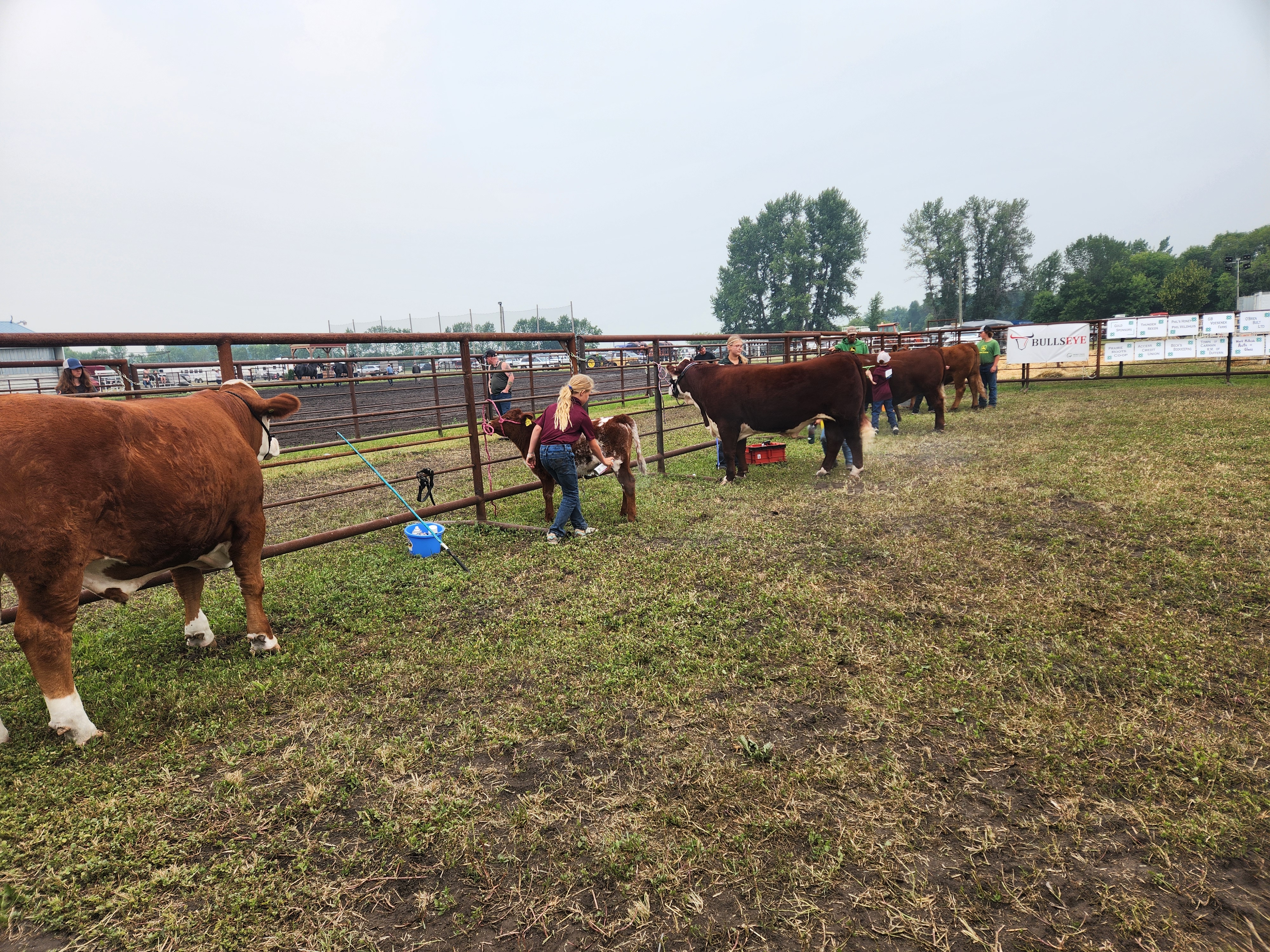 4-H Grooming Competitions Happened around 10:00 A.M. PortageOnline/ Tristen Sokolosky
