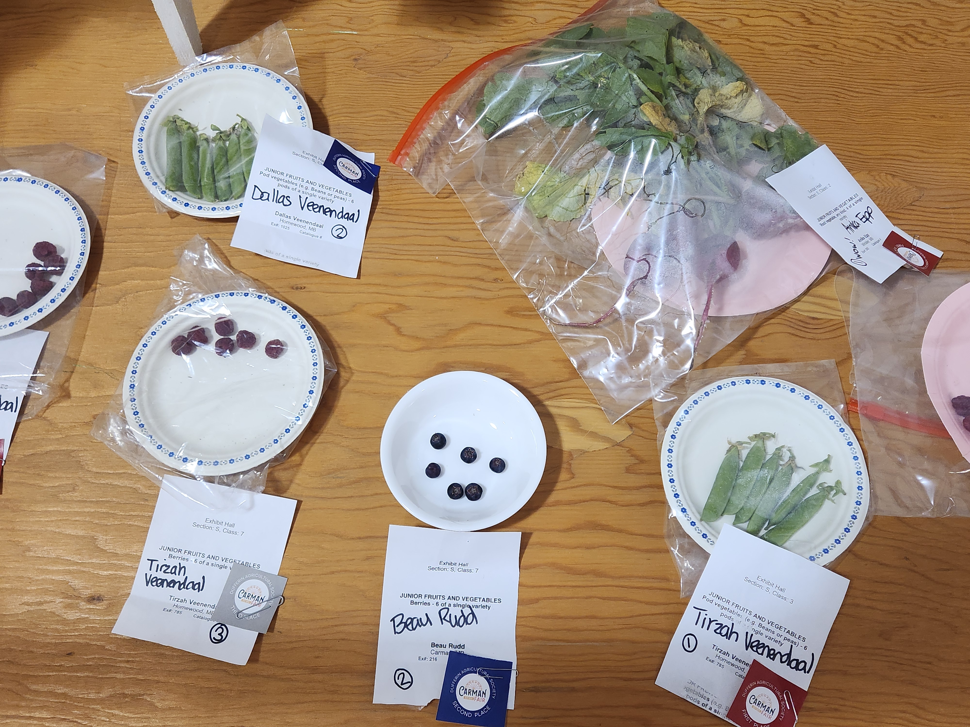 Fresh veggies and berries, were grown and put up for judging at the Carman Fair earlier last week. PortageOnline/ Tristen Sokolosky