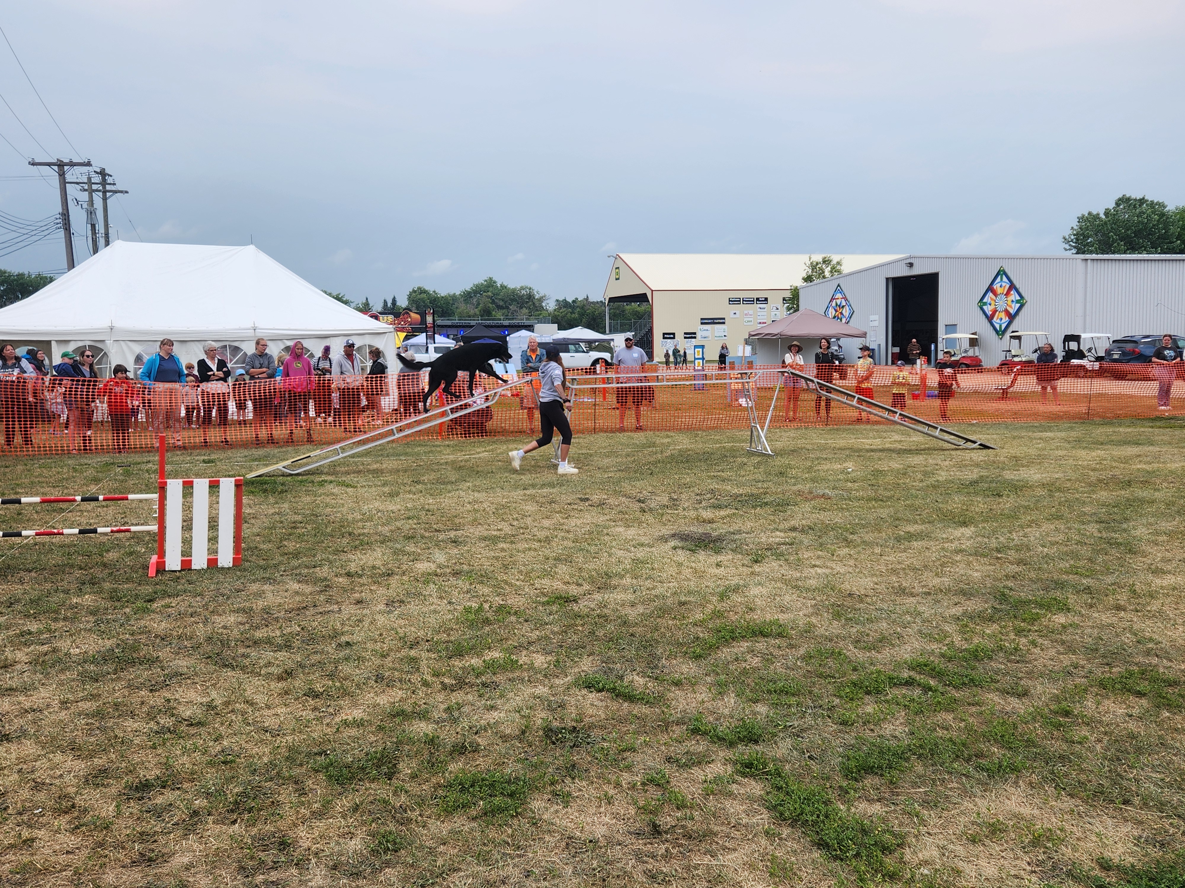 Dog agility course being shown and offered to those who wanted to partake with their dog, on Friday. PortageOnline/ Tristen Sokolosky