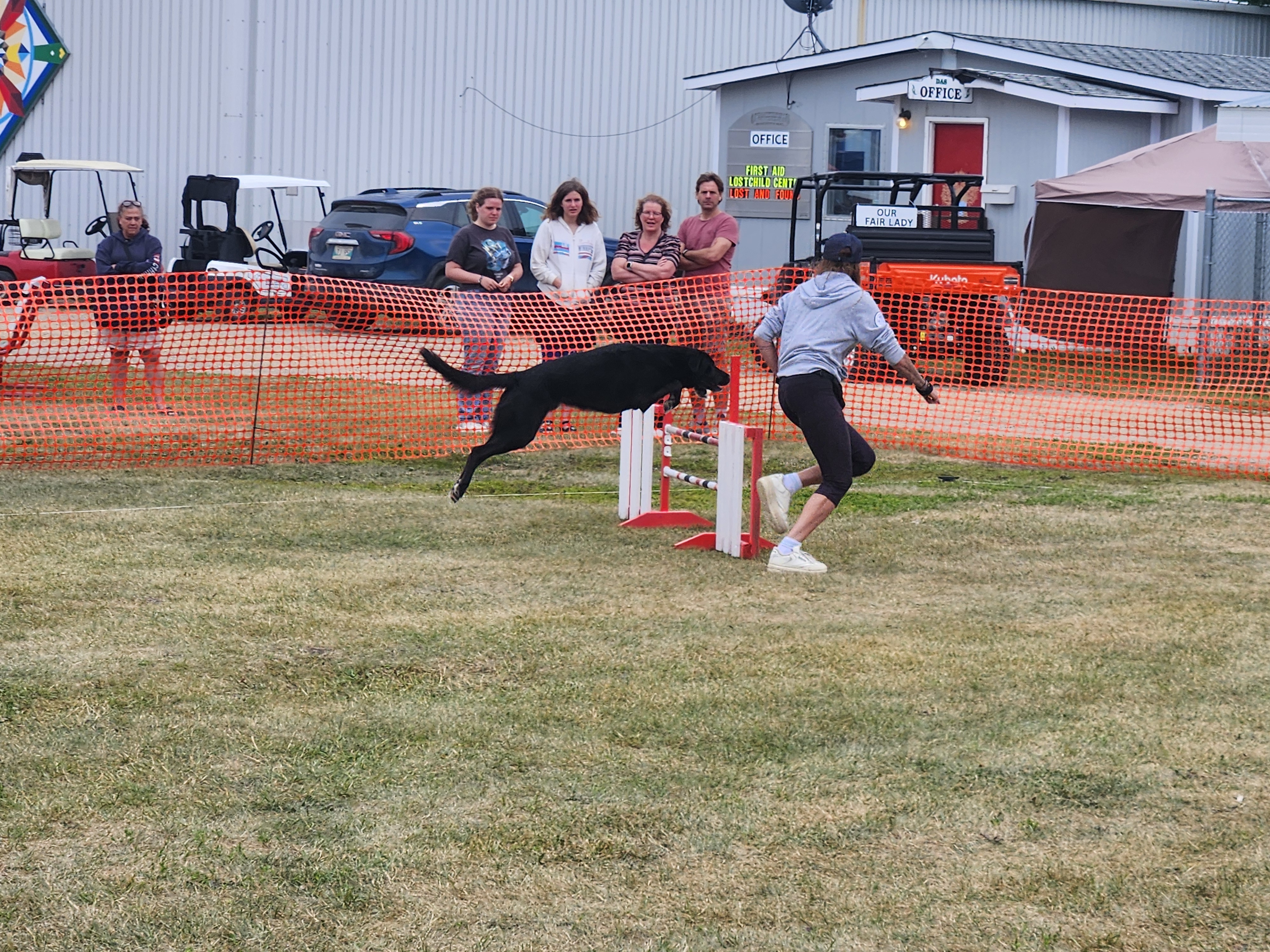 Dog agility course being shown and offered to those who wanted to partake with their dog, on Friday. PortageOnline/ Tristen Sokolosky