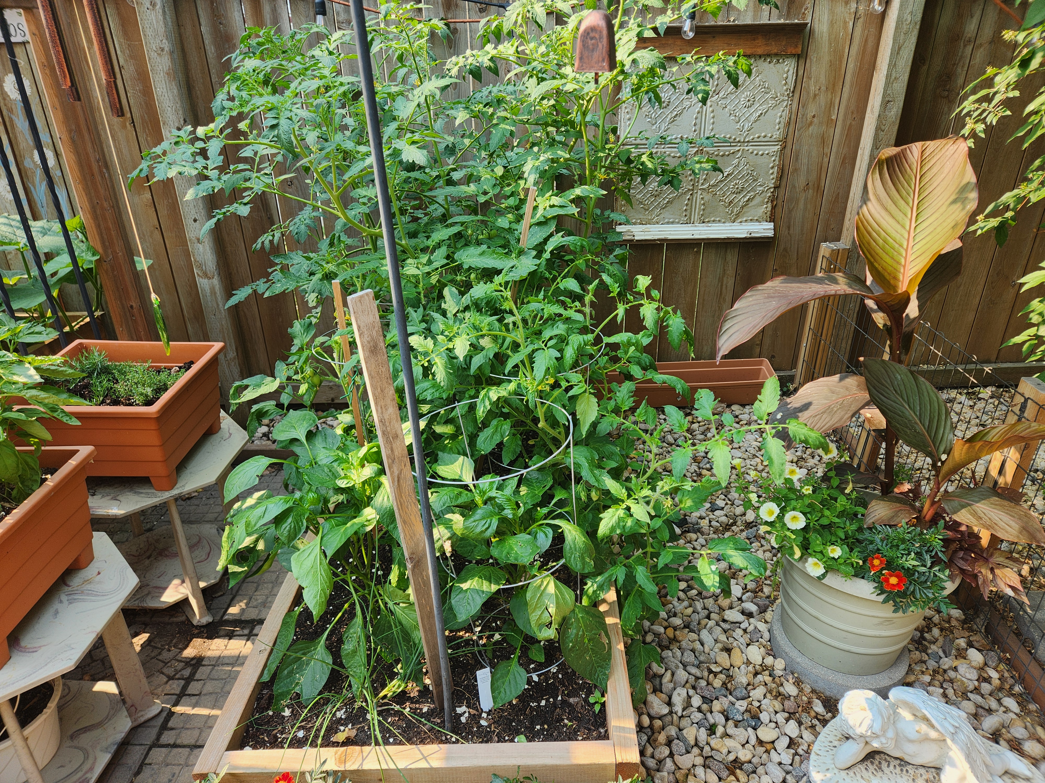 Vegetable garden. PortageOnline/ Tristen Sokolosky