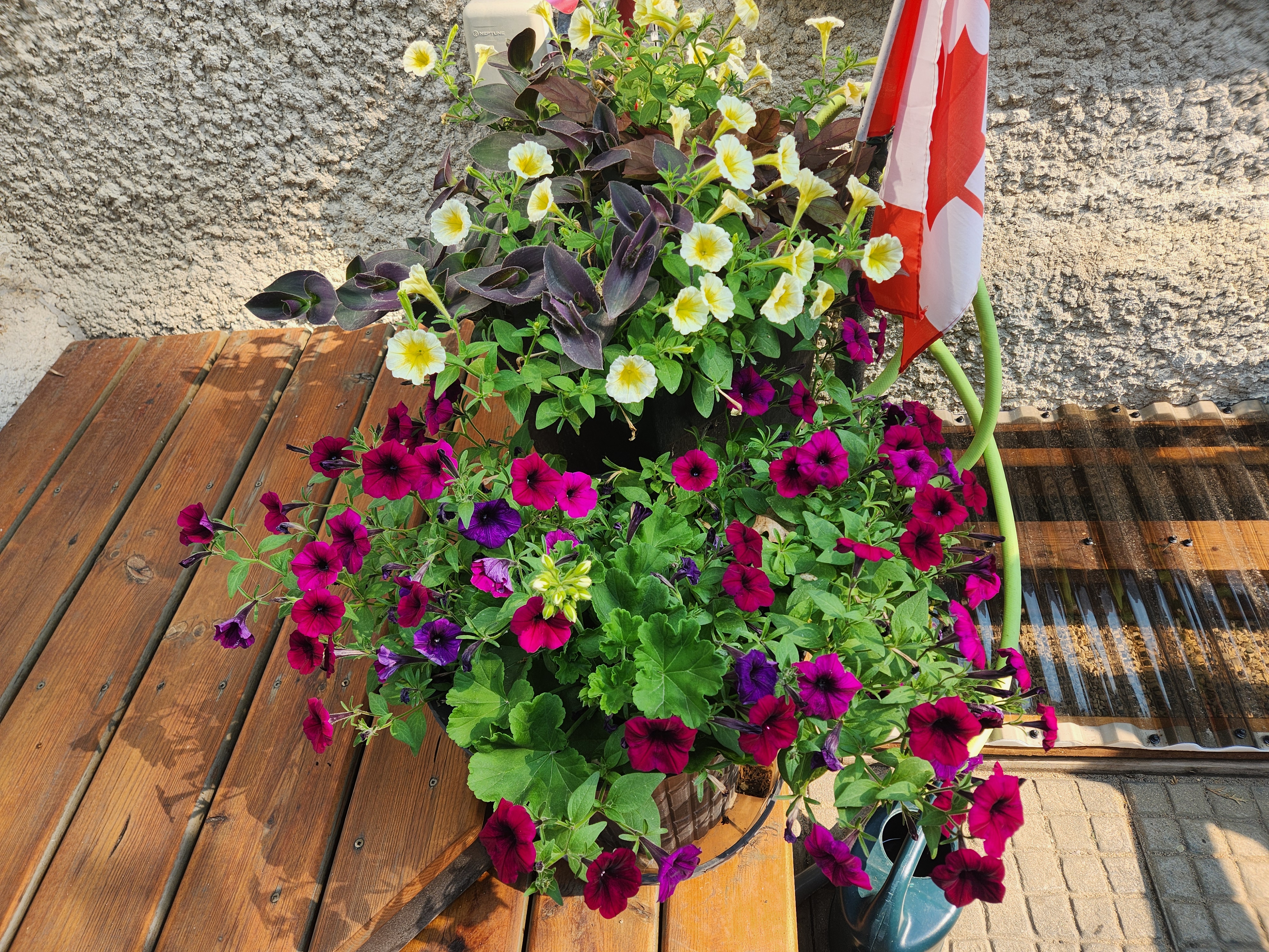 Flowers arranged decoratively. PortageOnline/ Tristen Sokolosky