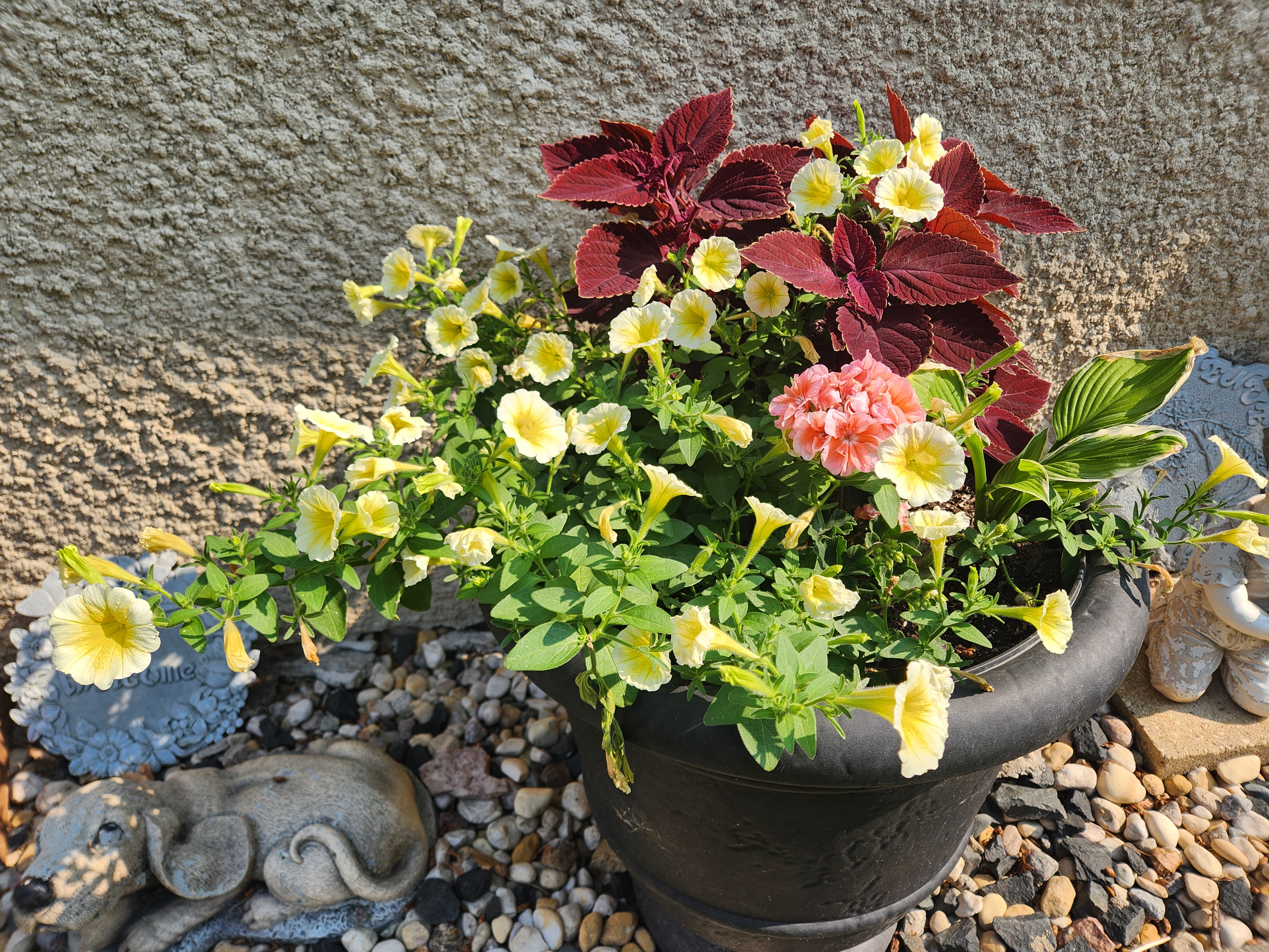 Plants arranged decoratively in a pot. PortageOnline/ Tristen Sokolosky