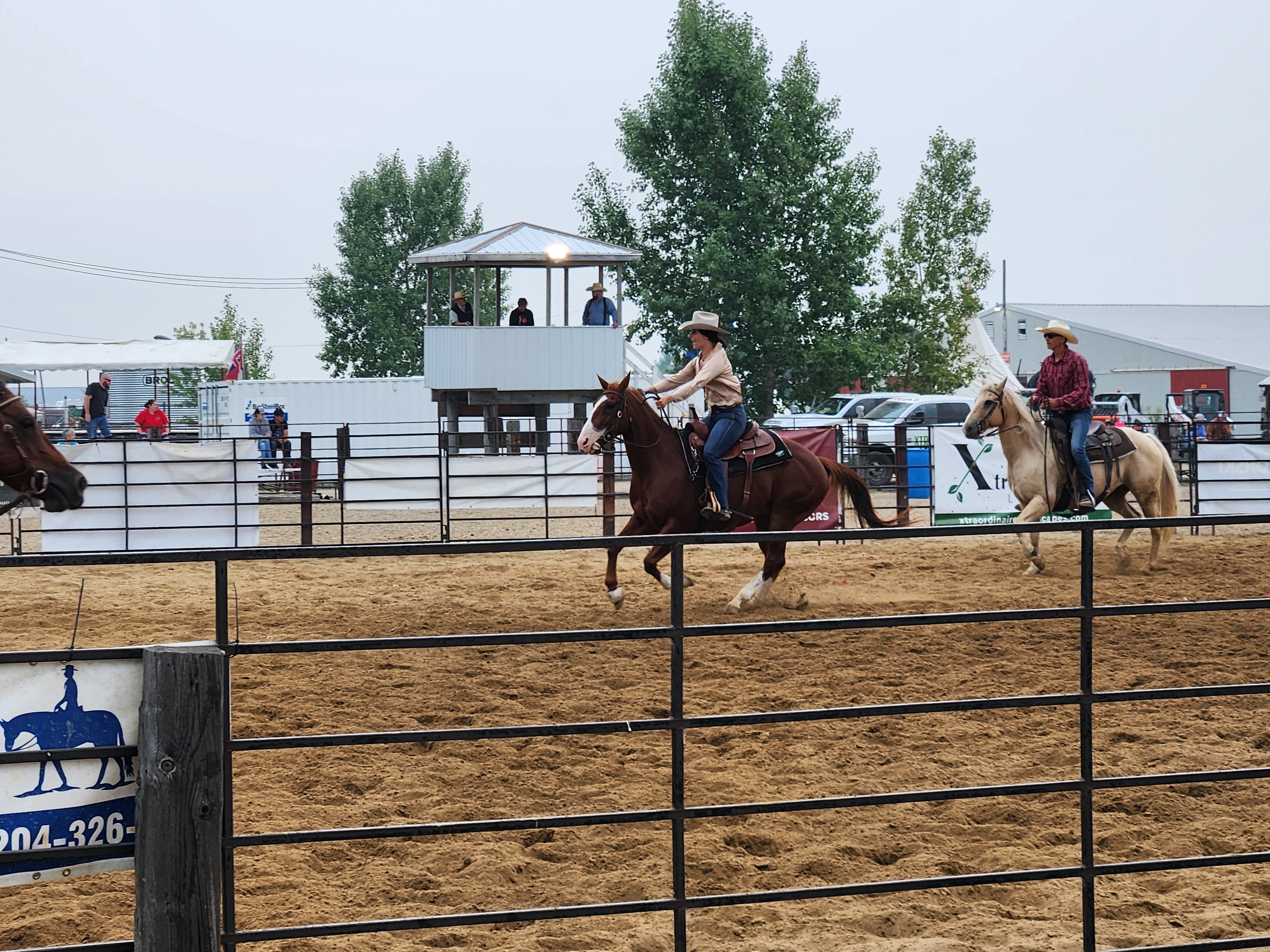 Team Penning. PortageOnline/ Tristen Sokolosky