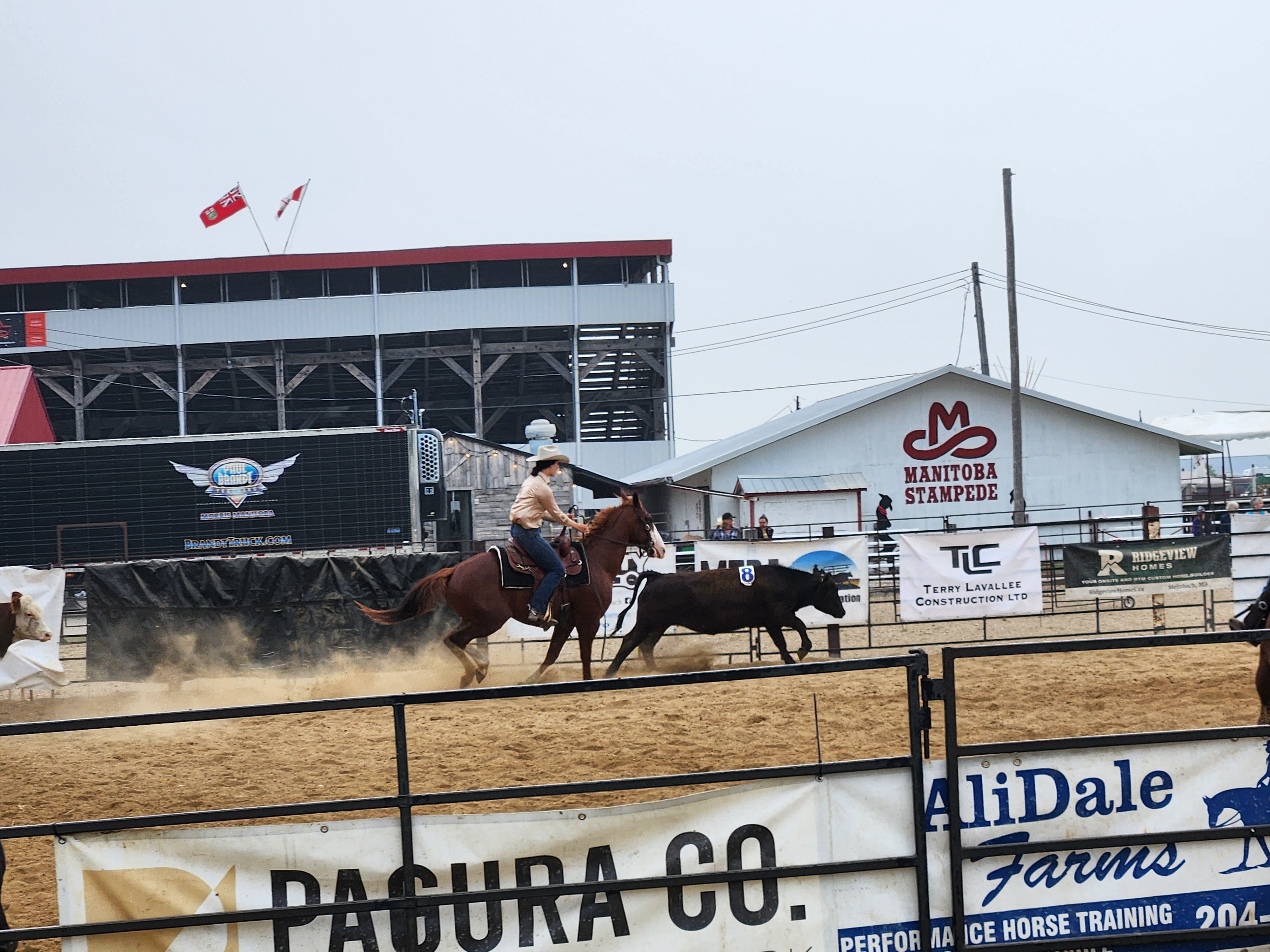 Team Penning. PortageOnline/ Tristen Sokolosky