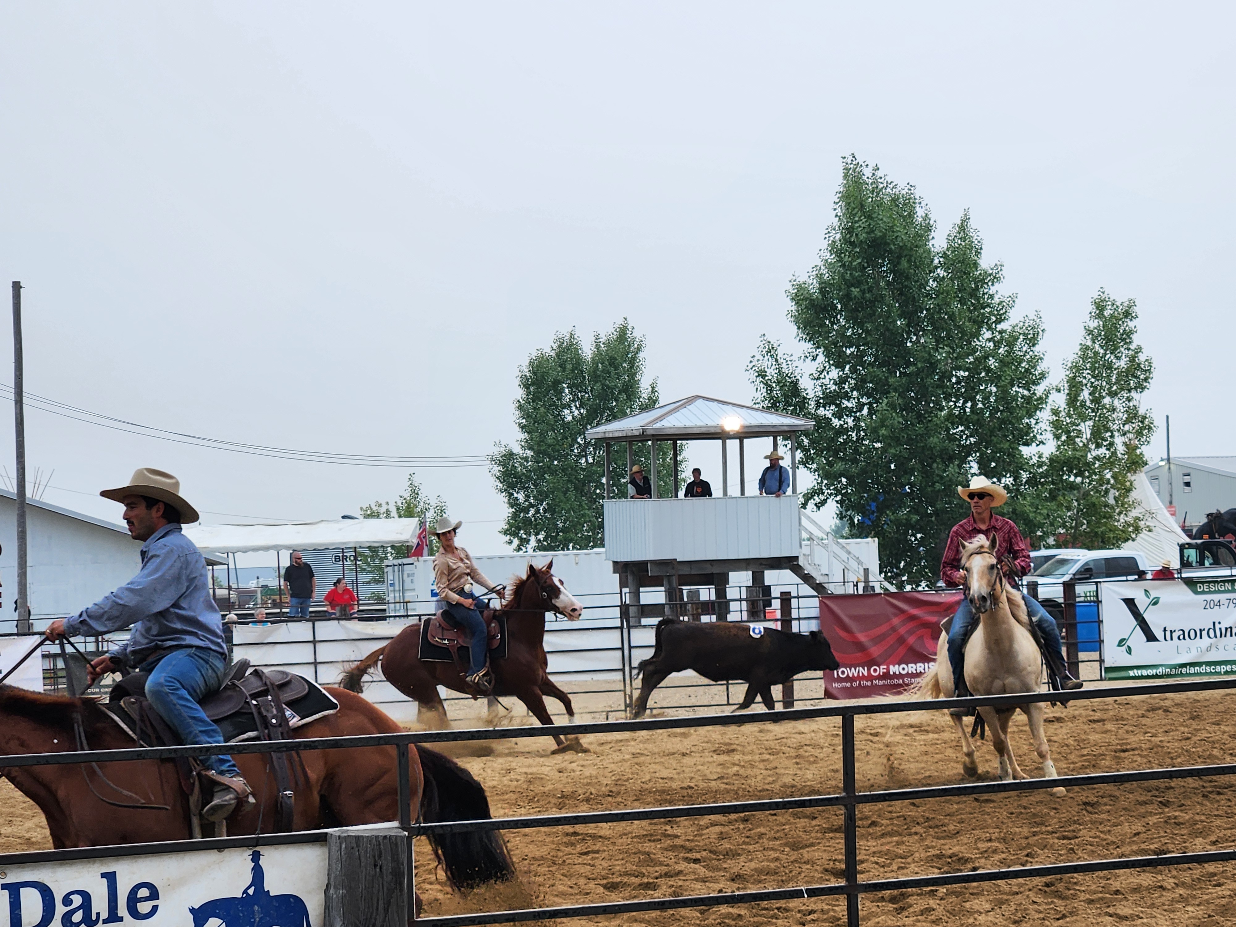 Team Penning. PortageOnline/ Tristen Sokolosky