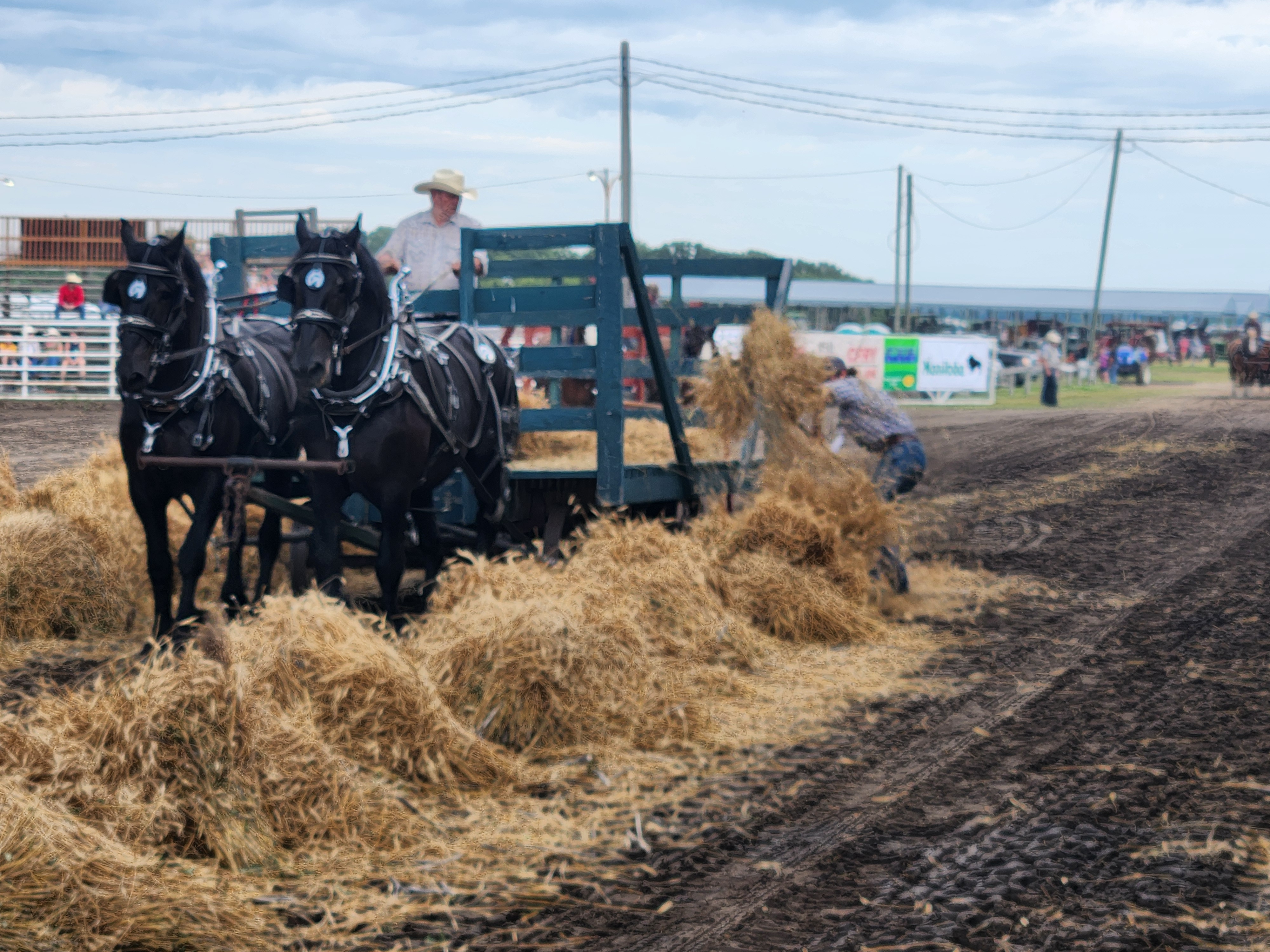 threshing competitions