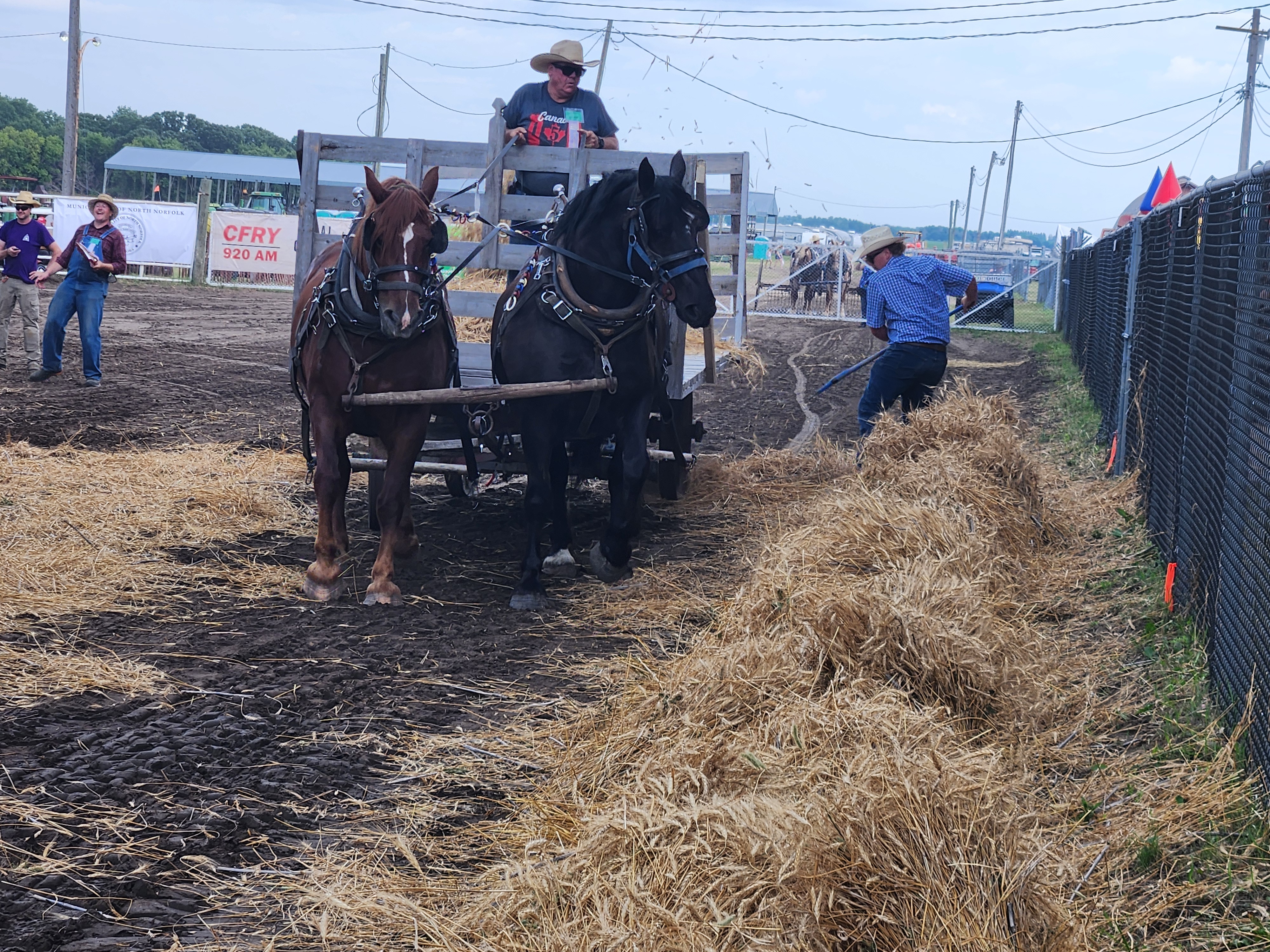 threshing competitions