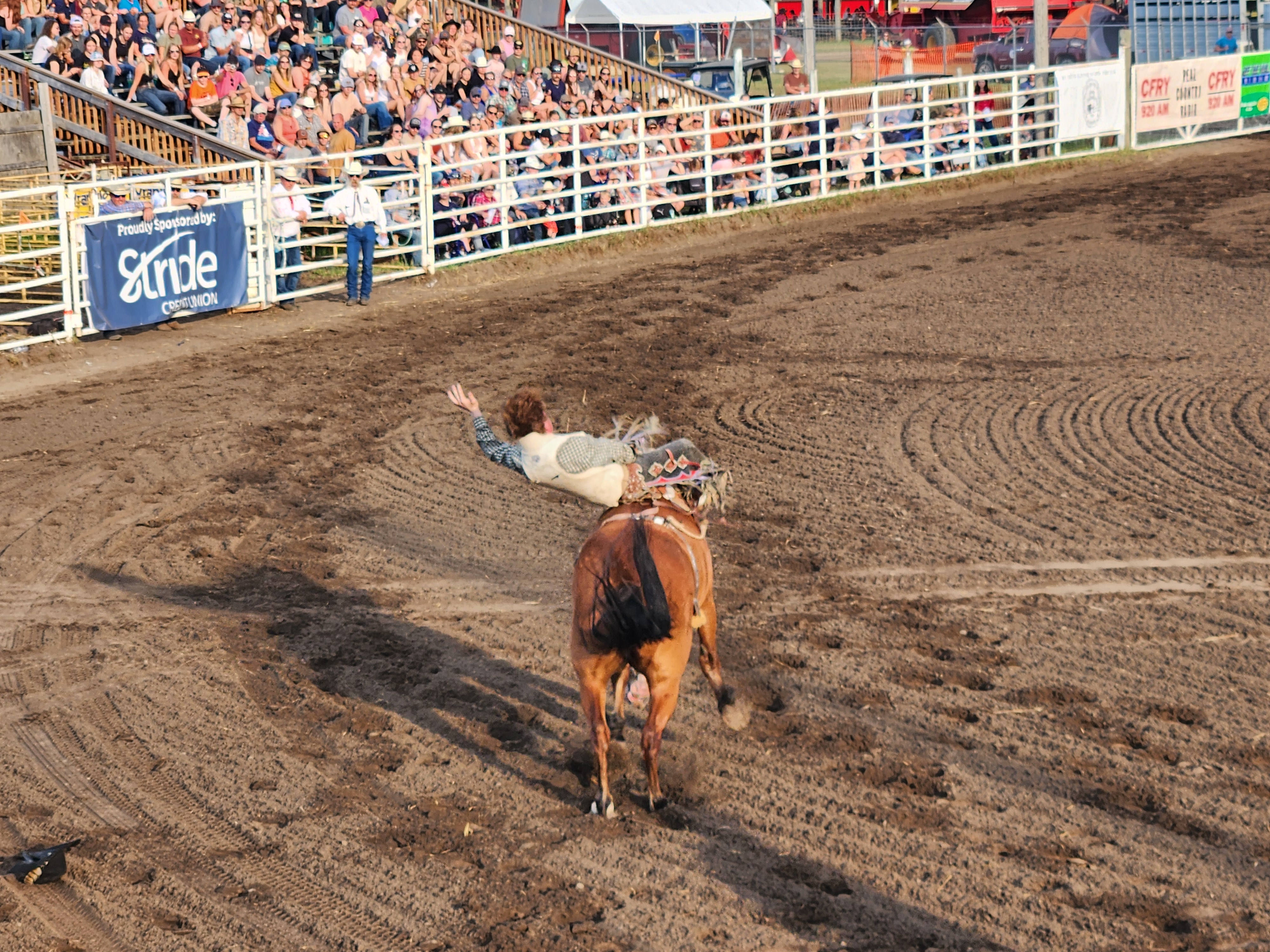 Bronco Riding