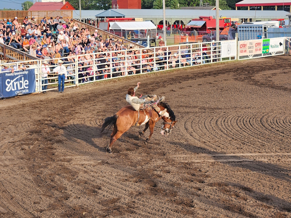Bronco Riding
