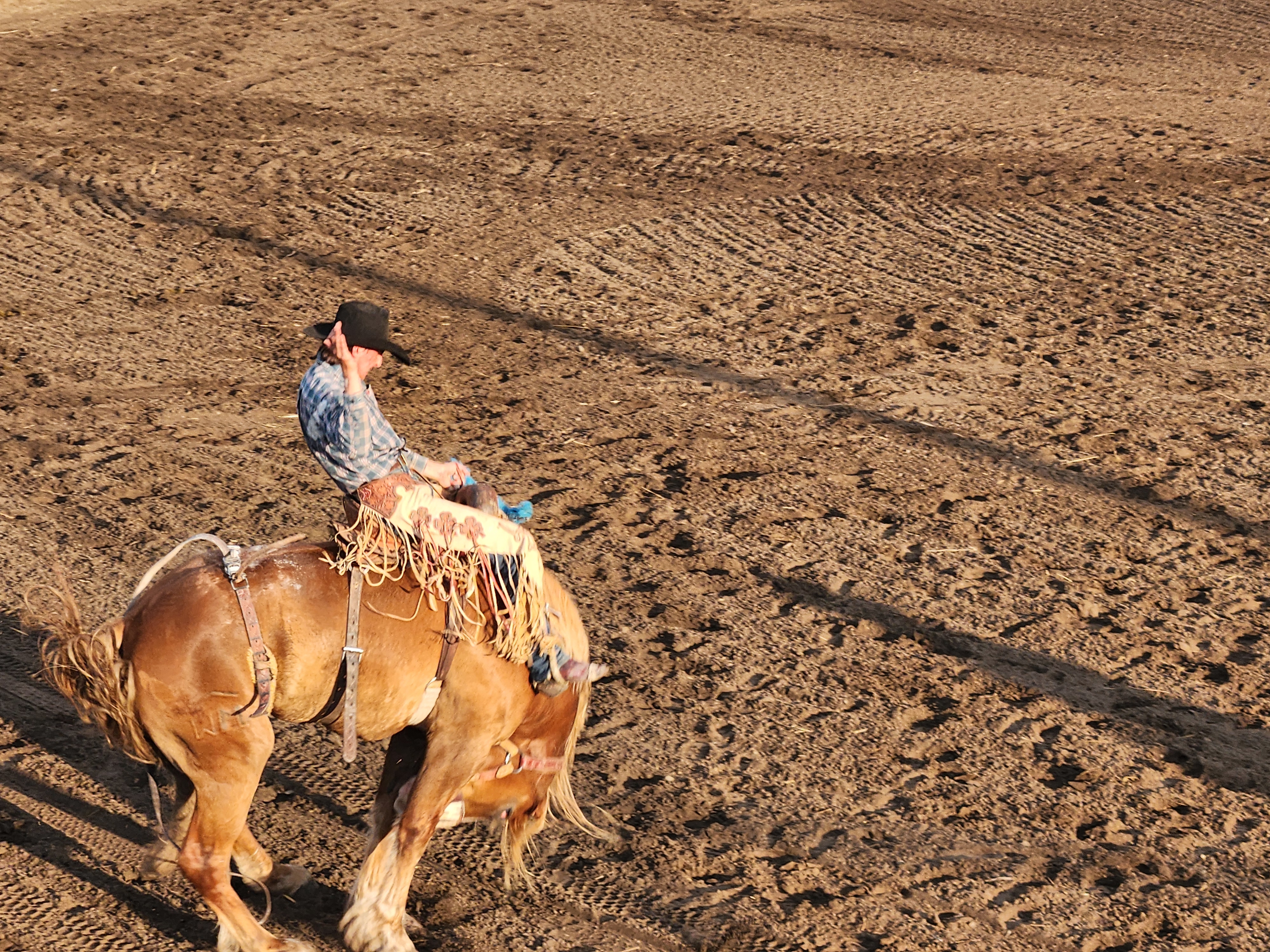 Bronco Riding