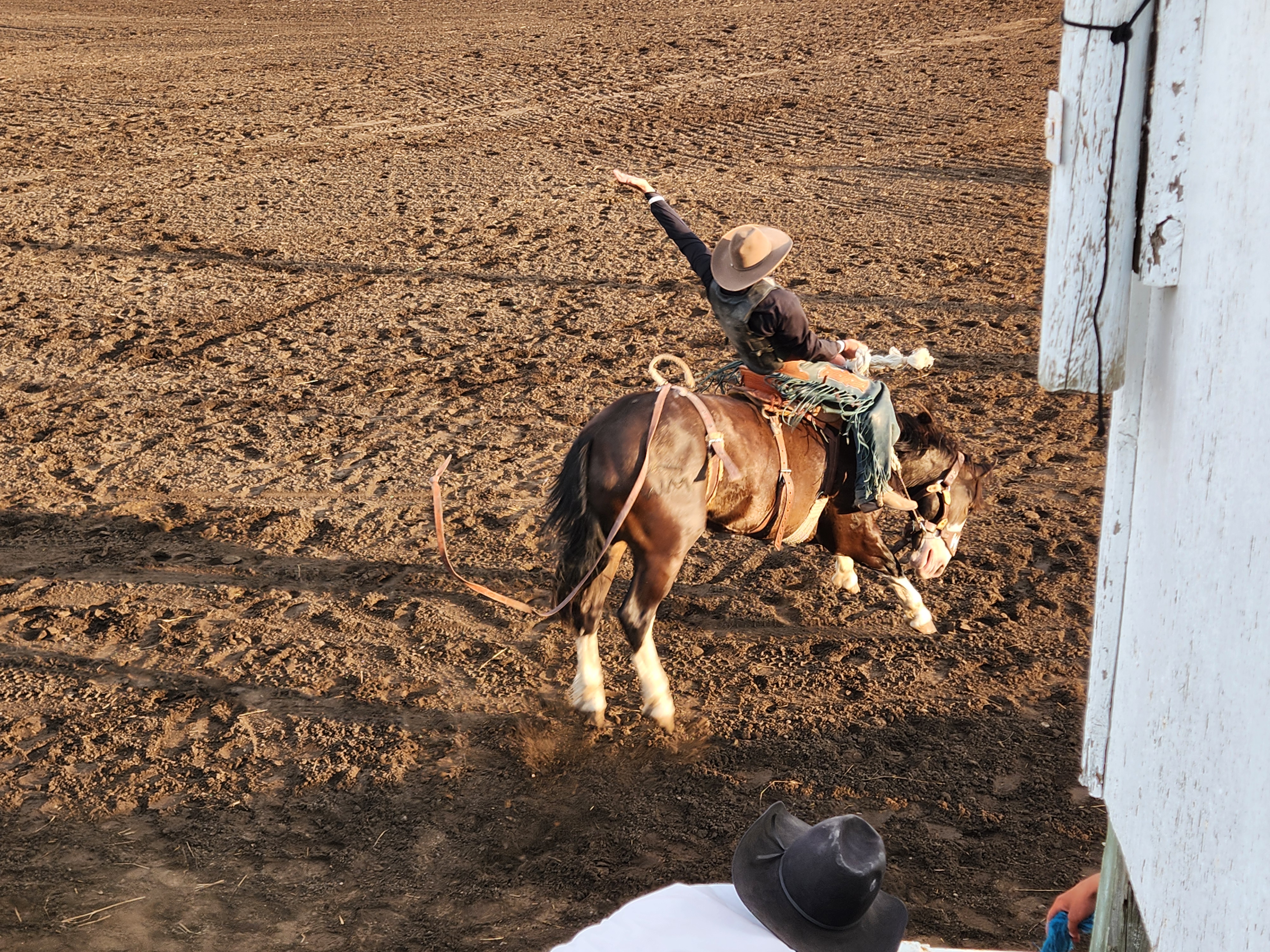 Bronco Riding