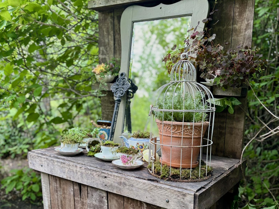 Display of antique items, decorated with plants. PortageOnline/ Tristen Sokolosky