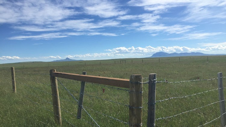 Photo of rangelands with a barbed wire fence around it 
