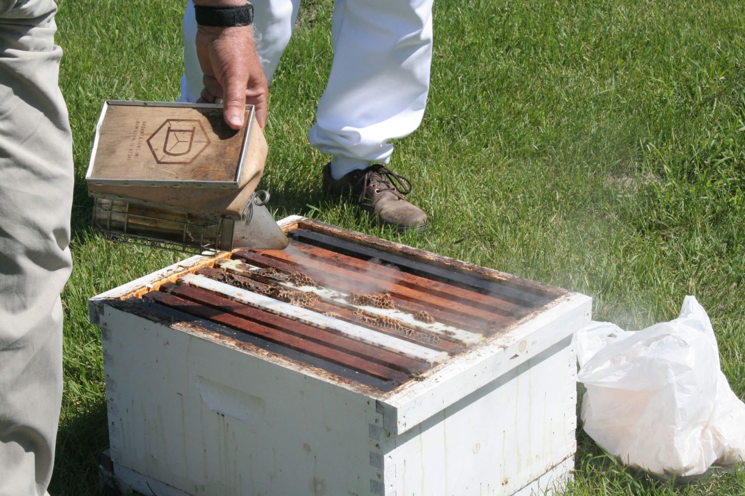 Bee-Smoker-Used-on-a-Beehive (FarmPhotos.ca library)