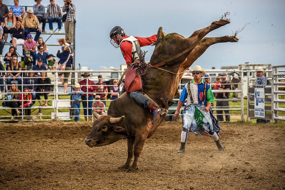 Partner Profile: Bull riding event to help buck MS