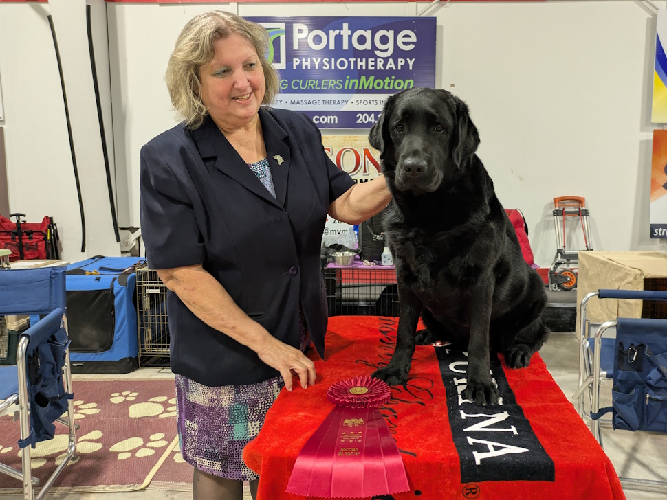 Hannah, a three-year-old sporting group dog, posing with owner Rita Gingraf, who holds a ribbon at the Portage Kennel Club dog show.