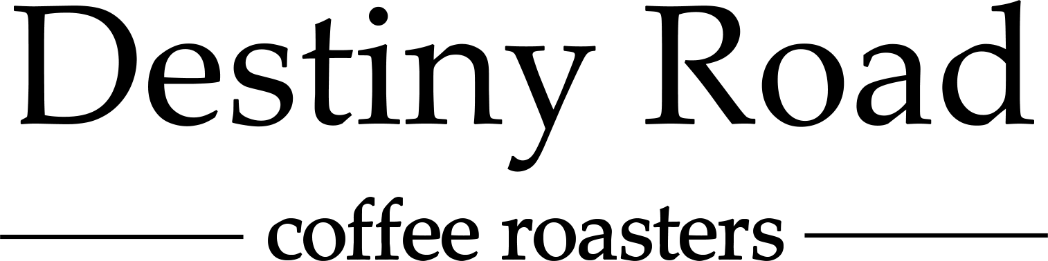 Destiny-Road-Long-Logo