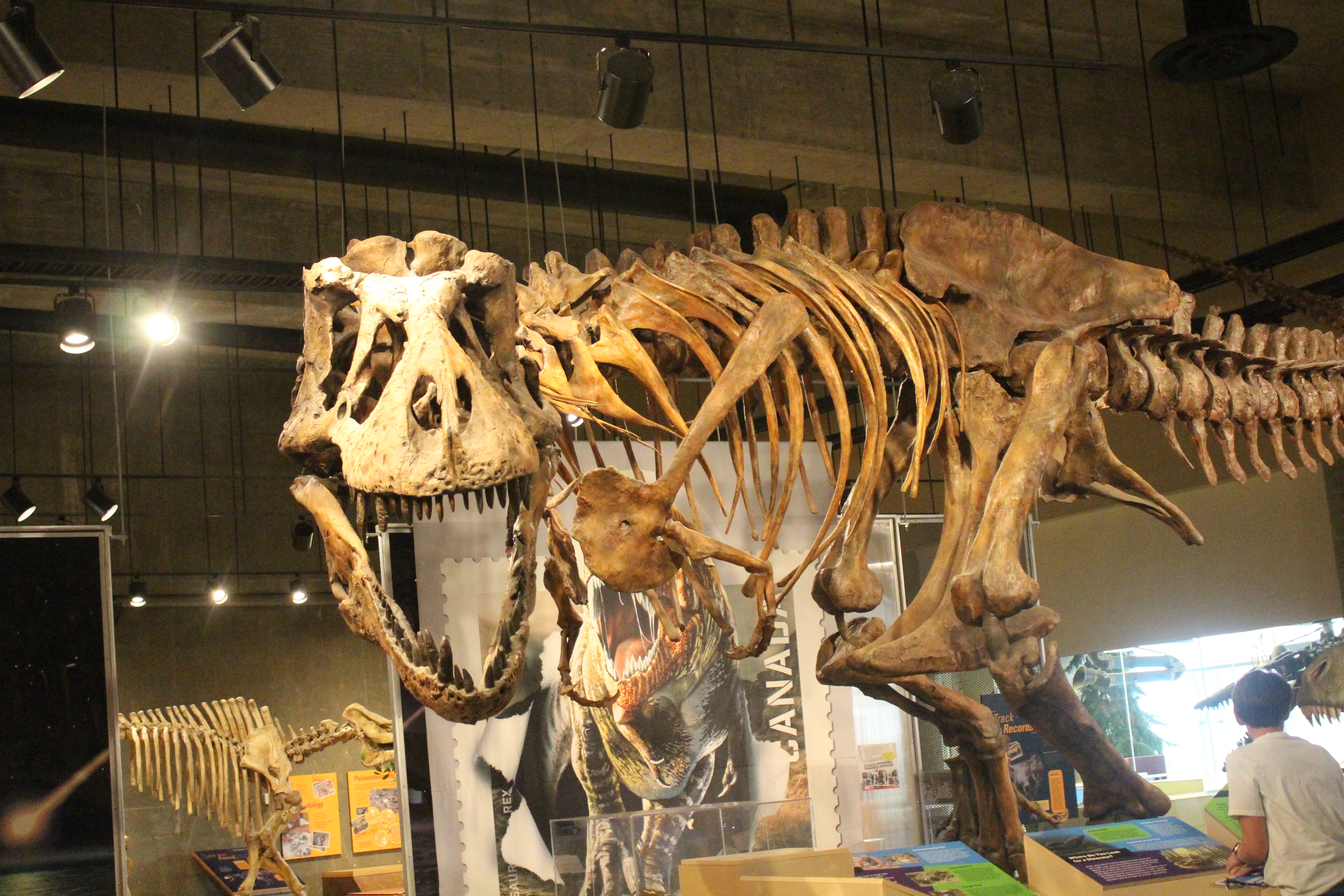 Dino Days Eastend (Photo by Alex Kozroski)