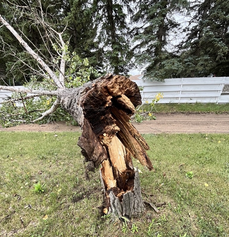 Photo by Glenn Rogers taken on 16th Street in Weyburn