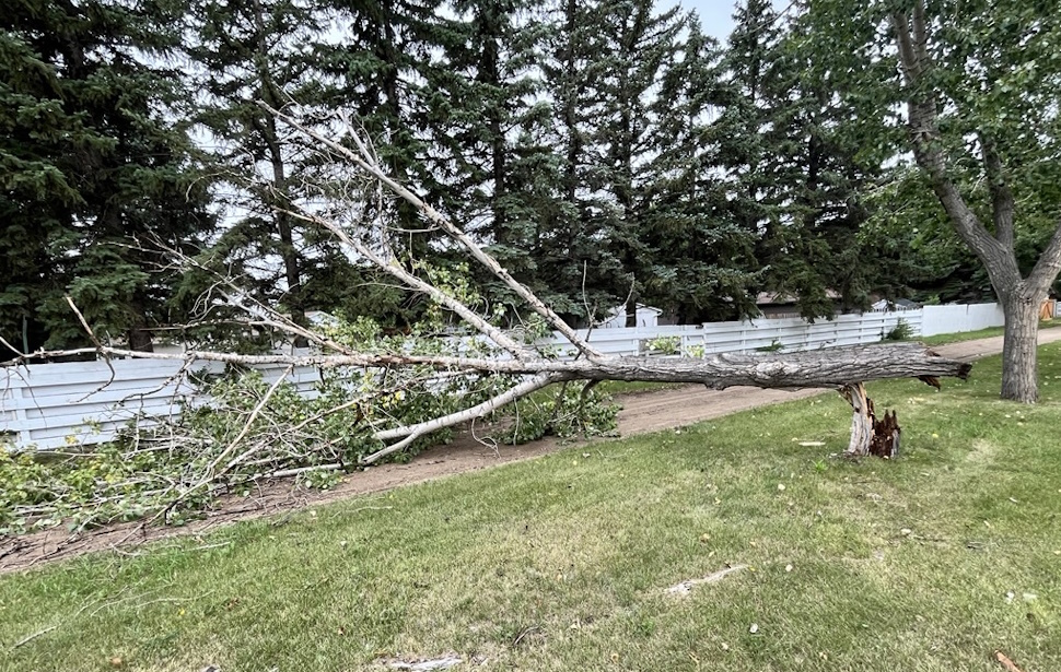 Photo by Glenn Rogers taken on 16th Street in Weyburn