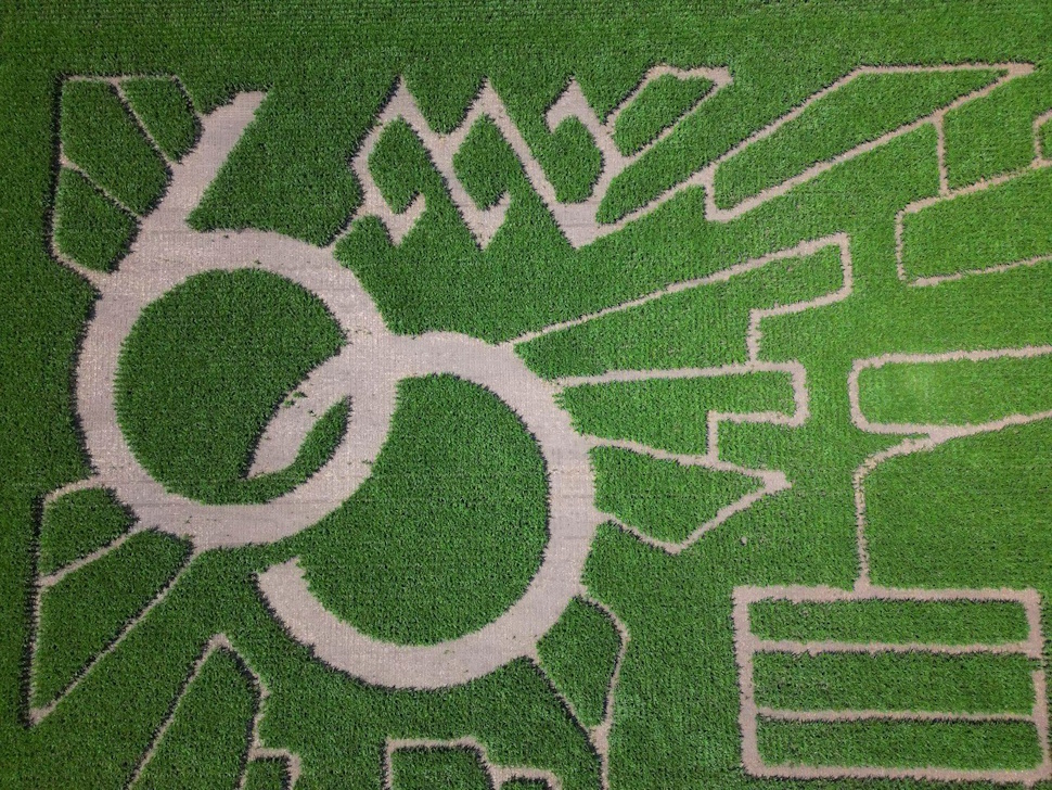 Triple E Corn Maze
