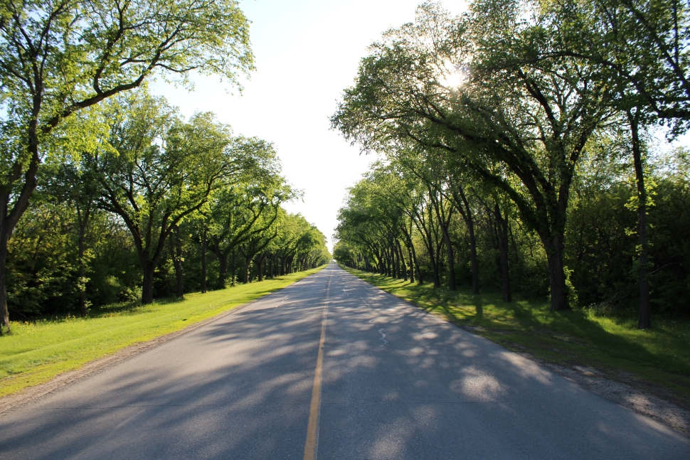 Photo of Saskatchewan Drive in the evening summer sun.