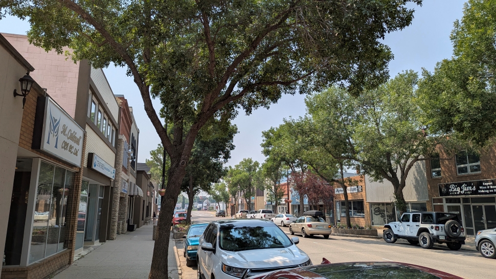 A tree lined street